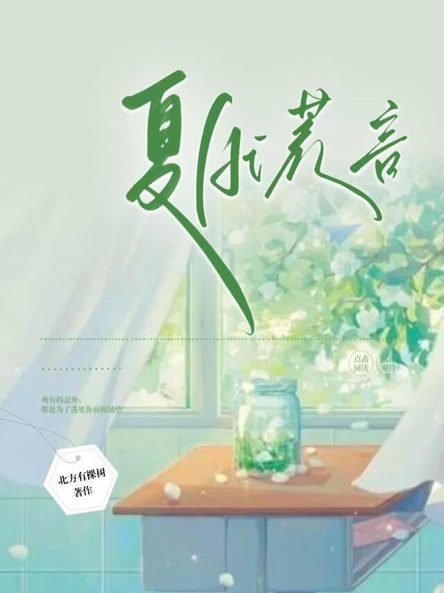 夏日谎言封面