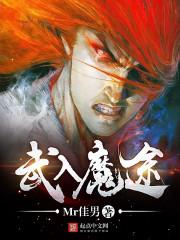 武入魔途封面
