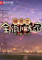 精灵之全能训练家封面