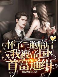 怀了三胞胎后，我被帝国首富通缉封面
