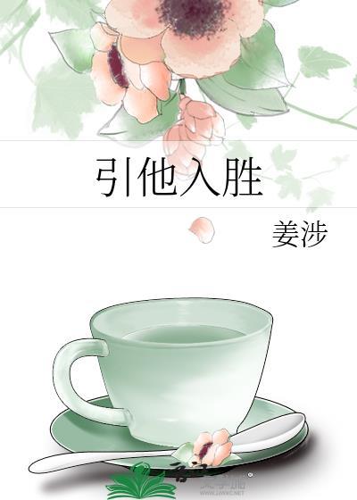 引他入胜封面