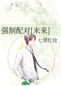 强制配对[未来]封面