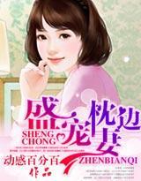 盛宠枕边妻封面