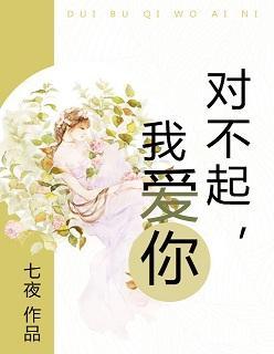 对不起，我爱你封面