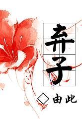 弃子封面