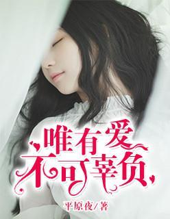 唯有爱不可辜负封面