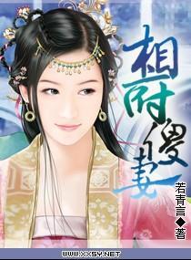 相府傻妻封面