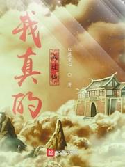 我真的成过仙封面