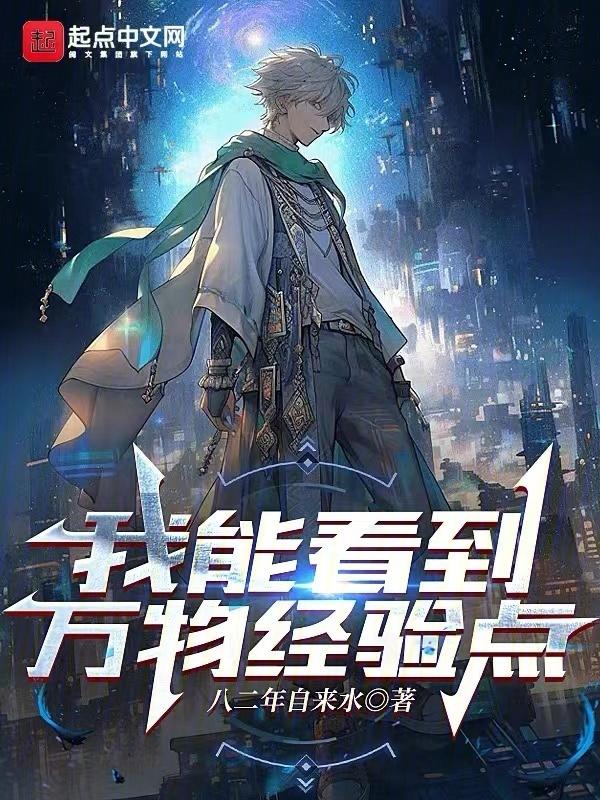 我能看到万物经验点封面