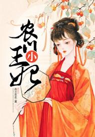 农门小王妃封面