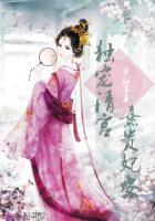 独宠清宫:熹贵妃安封面