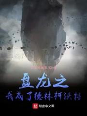 盘龙之我成了德林柯沃特封面
