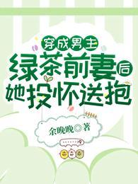 霍明川沈溪封面
