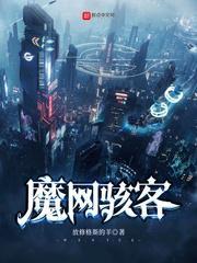 魔网骇客封面