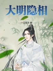 大明隐相封面