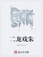 二龙戏朱封面