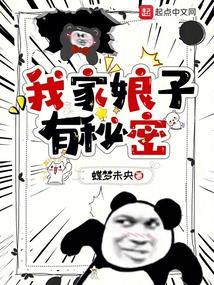 我家娘子有秘密封面