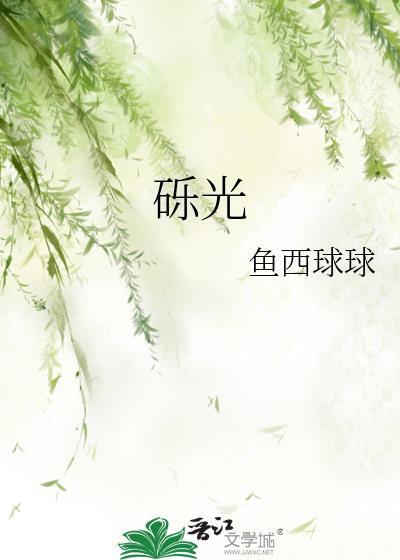 砾光封面