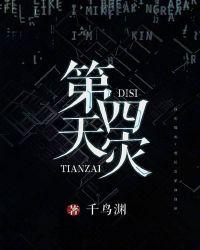 第四天灾封面