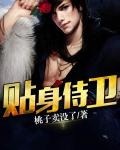 将军的贴身侍卫封面