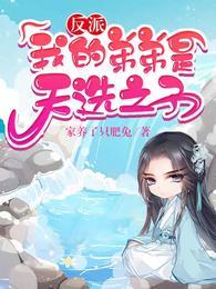 欢乐反派封面