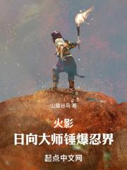火影:日向大师锤爆忍界封面