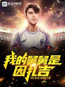 我的舅舅是因扎吉封面