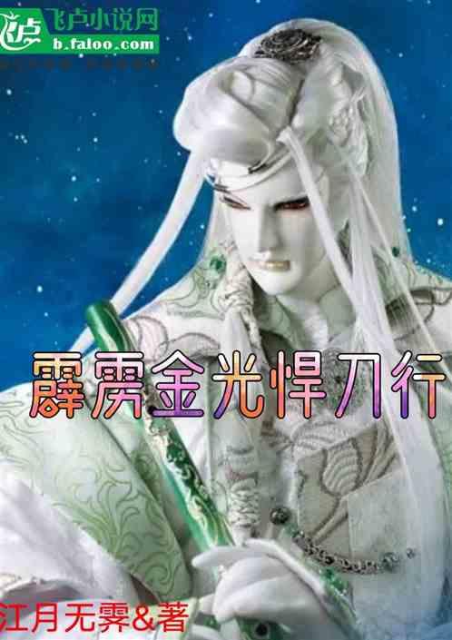 霹雳金光悍刀行封面