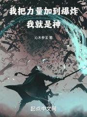 我把力量加到爆炸,我就是神封面