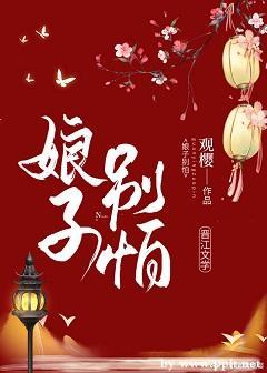 娘子别怕封面