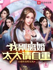 我刚离婚,太太请自重封面