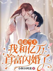 相亲当天,我和亿万首富闪婚了封面