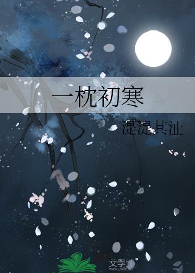 一枕初寒封面