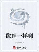像神一样啊封面