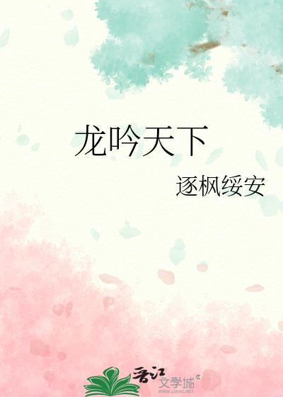 龙吟天下封面