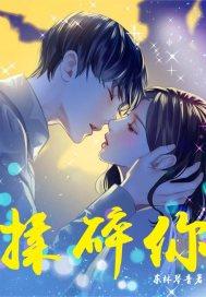 揉碎你封面