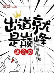 出道就是巅峰怎么办封面