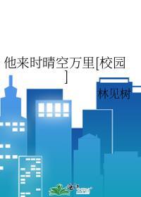 他来时晴空万裏[校园]封面