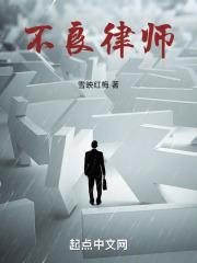不良律师封面