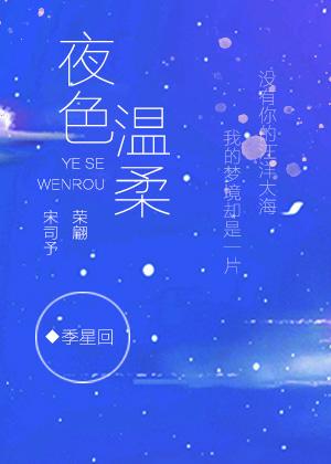 夜色温柔封面