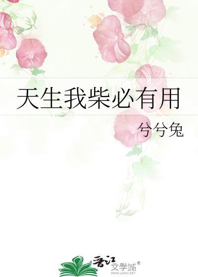天生我柴必有用封面