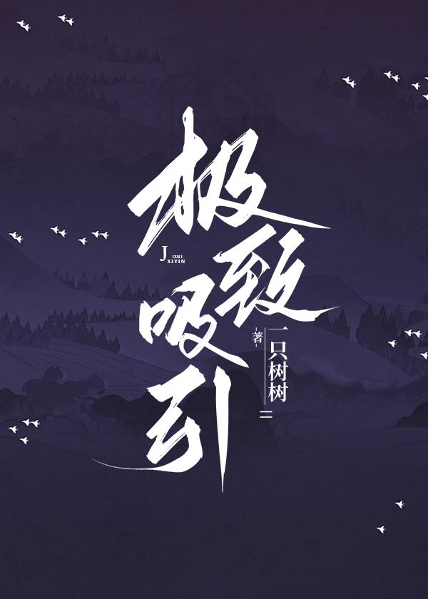 极致吸引封面