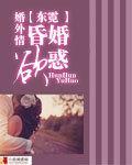 婚外情:婚昏欲惑封面