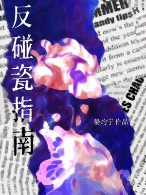 反碰瓷指南封面