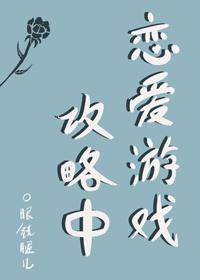 恋爱游戏攻略中封面