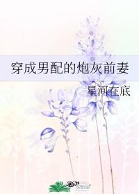 穿成男配的炮灰前妻段清吟封面