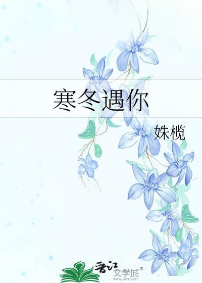 寒冬遇你封面