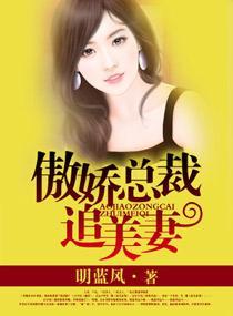 傲娇总裁追美妻封面