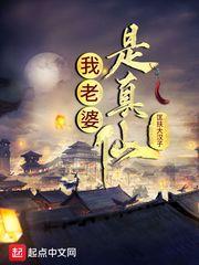 我老婆是真仙封面