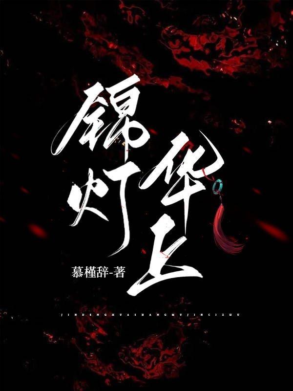 锦灯华上封面